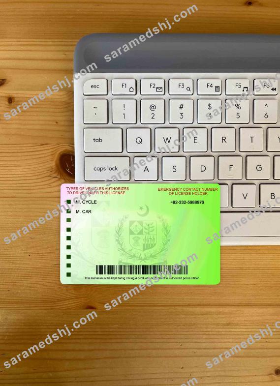 Pakistan international driving permit photolook BACK